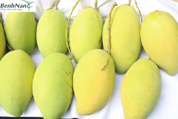 Bệnh nhân bị bệnh tiểu đường ăn xoài được không? 1 Tác dụng của quả xoài đối với sức khỏe