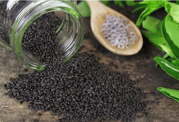 Hạt é chữa bệnh tiểu đường và những lưu ý khi dùng hạt é 1 Công dụng của hạt é chữa bệnh tiểu đường